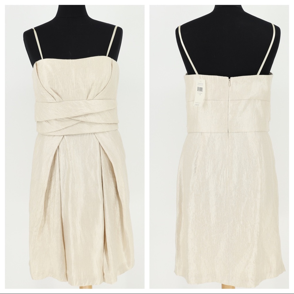 NWT MAX AND CLEO CHAMPAGNE DRESS